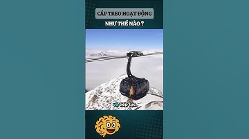 Cáp treo hoạt động như thế nào? #kienthucthuvi #nghichlythuvi #khampha #kienthuc