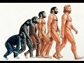 【都市伝説】　進化論の矛盾と謎　人類は宇宙人によって創られた！！
