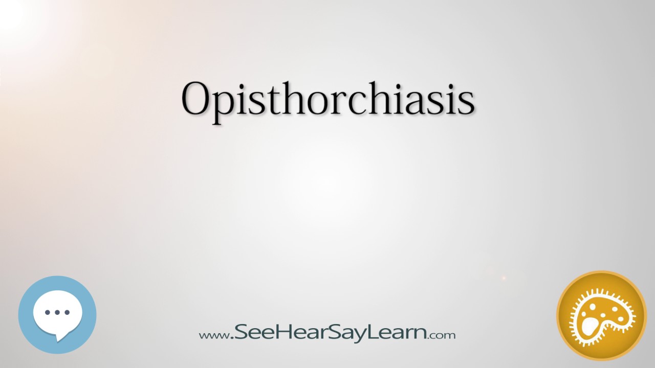 Az opisthorchiasis kialakulása az emberi testben, Az opisthorchiasis a helminták