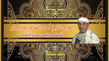 تلاوة قصيرة للقارئ الشيخ عبدالفتاح الطاروطى ما تيسر من سورة الأنعام