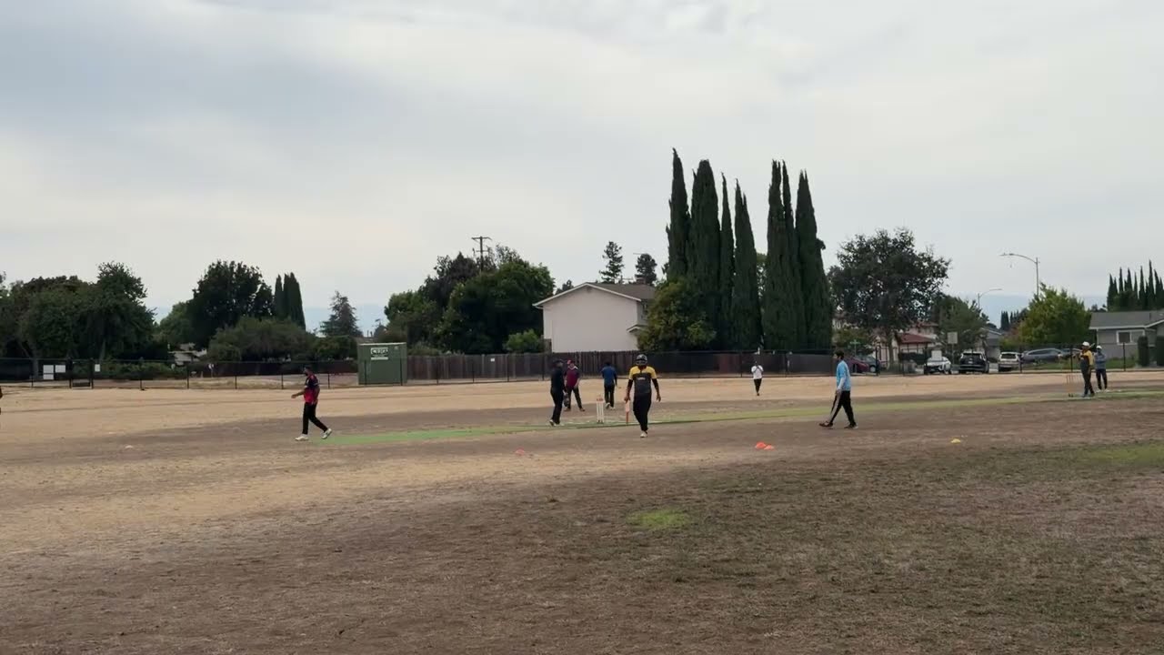 Cricbay 2026 platinum - Dubs vs Tigers