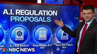 Full Breaking down the proposals lawmakers are considering to regulate AI Update