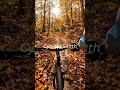 This Autumn Bike Ride Feels Like a Movie 🍂🚴 #shorts #cycling