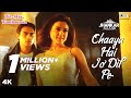 Chaaya Hai Jo Dil Pe (Jhankar) - Dil Hai Tumhaara | Preity Zinta & Arjun Rampal | Kavita K & Shaan