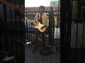 Jimi Hendrix ??? ジミ・ヘンドリックス #shorts