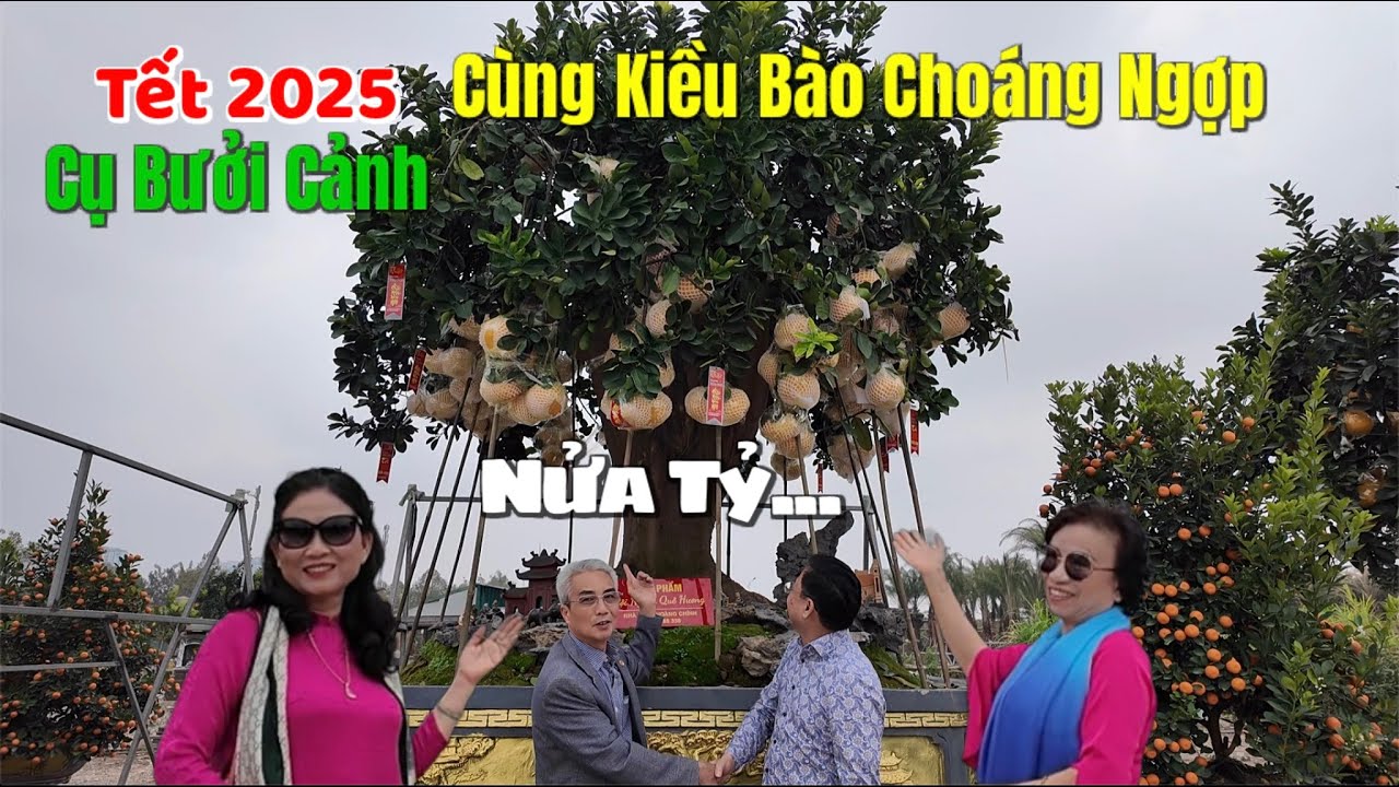Cùng Kiều Bào Choáng Ngợp Dưới Gốc Cụ Bưởi Cảnh Trăm Tuổi Giá Nửa Tỷ | Tết 2025.