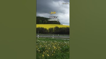 ولقد اتينا لقمان الحكمة ان اشكر لله #قرآن #اسلام_صبحي #سورة_لقمان