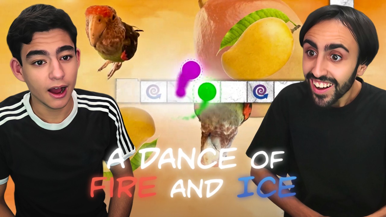 GOOD MORNING MR SUNFISH | A Dance of Fire and Ice