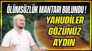 Download Ölümsüzlük Mantarı Bulundu! - Yahudiler Gözünüz Aydın / Kerem Önder Video MP3 Ölümsüzlük Mantarı Bulundu! - Yahudiler Gözünüz Aydın / Kerem Önder