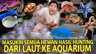 MASUKIN SEMUA HEWAN HASIL HUNTING DARI LAUT KE AQUARIUM! PENGHUNI LAMA SHOCK SAMA PENGHUNI BARU!
