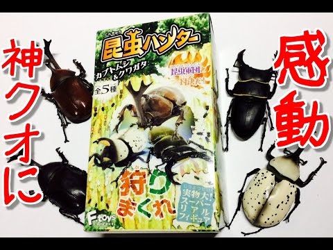 Candy Toys Summer Begins With Insect Hunter 2016 Beetles Stag Beetles Edition Complete Unbo