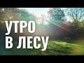 ЗВУКИ УТРЕННЕГО ХУТОРА. 15 МИНУТ ПЕНИЯ ПТИЦ.