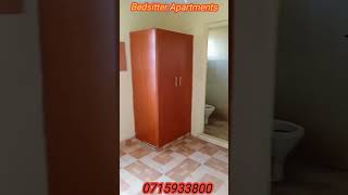 Bedsitter Apartment Tour in Ongata Rongai with free water. #airbnb #airbnb #rongairentals #viral