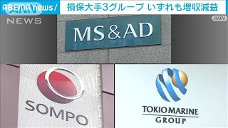 大手損保3グループ決算　いずれも増収減益　台風や雹　コロナ関連の支払いが影響(2023年5月19日)