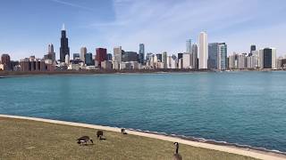 Chicago Downtown 2017 - 4K UHD