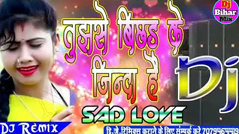 Tujhse bichhad kar Jinda Hai Jaan bahut Sharminda DJ Hindi remix song love