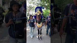 Kuda Renggong Jhonkey Tampil Keren #kudarenggong #trendingshorts #dancinghorse