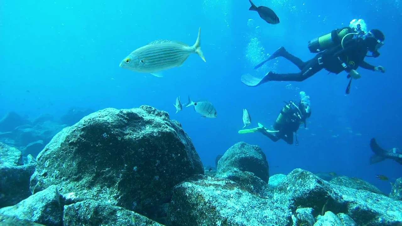 rumble video upload See how it looks like a underwater trip