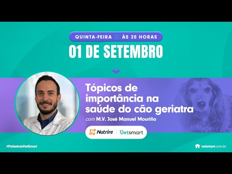 Vídeo: Um guia de atendimento odontológico para animais de estimação exóticos