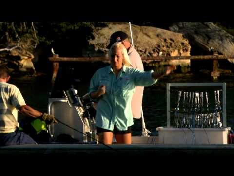 Shark Harbour Trailer