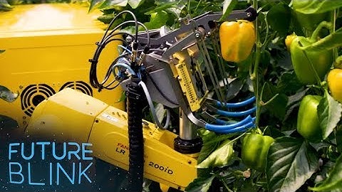 Autonomous Robot is Making Gardening a Whole Lot Easier