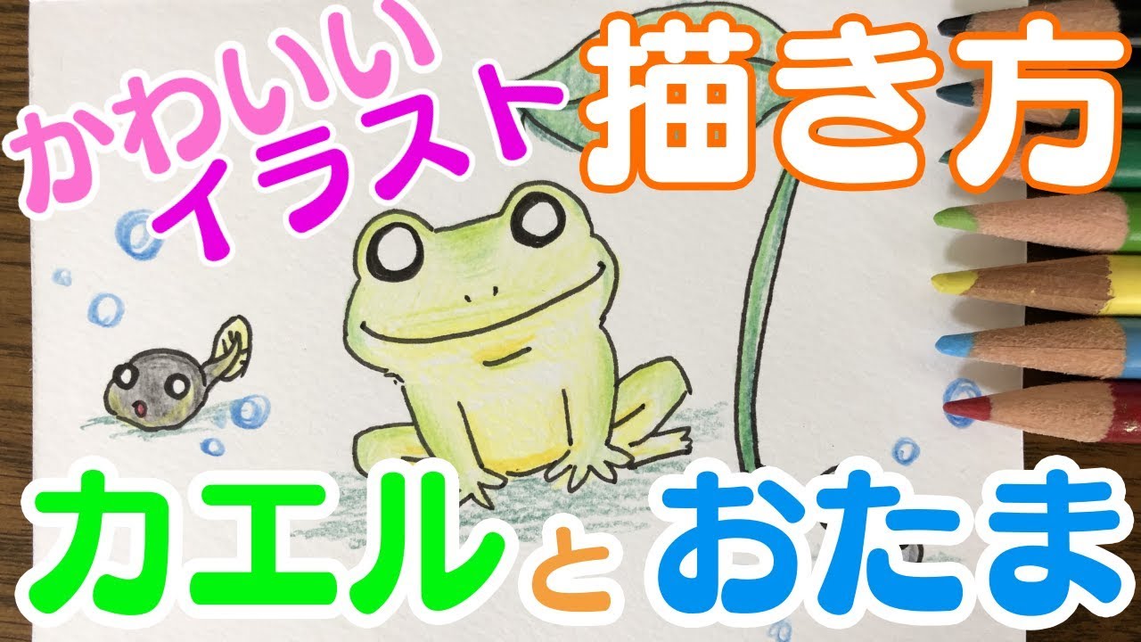 Cute Illustration How To Draw A Frog And A Tadpole Youtube