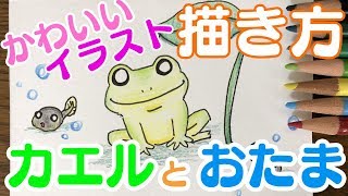 かわいいイラスト カエルとおたまじゃくしの描き方 Youtube