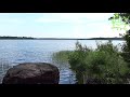 🦆Звуки природы🦆 Озеро 4К 🦋Живая природа🦋 Пение птиц