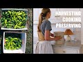 Modern homesteading family of six  a day in the life