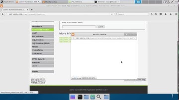 [low] DVWA Command Execution