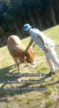 Hlabekisa