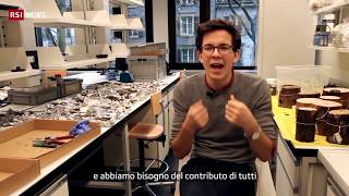 Felix, Il Giardiniere Del Mondo Rsi Info