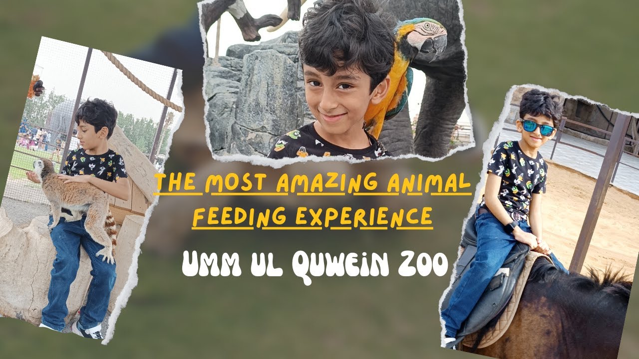 The Most Amazing Animal Feeding Experience\Ummul Quwein Zoo/Explore UAE