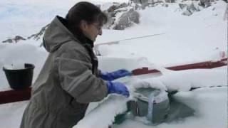 Celebrity Sampling the Plankton Net Profile