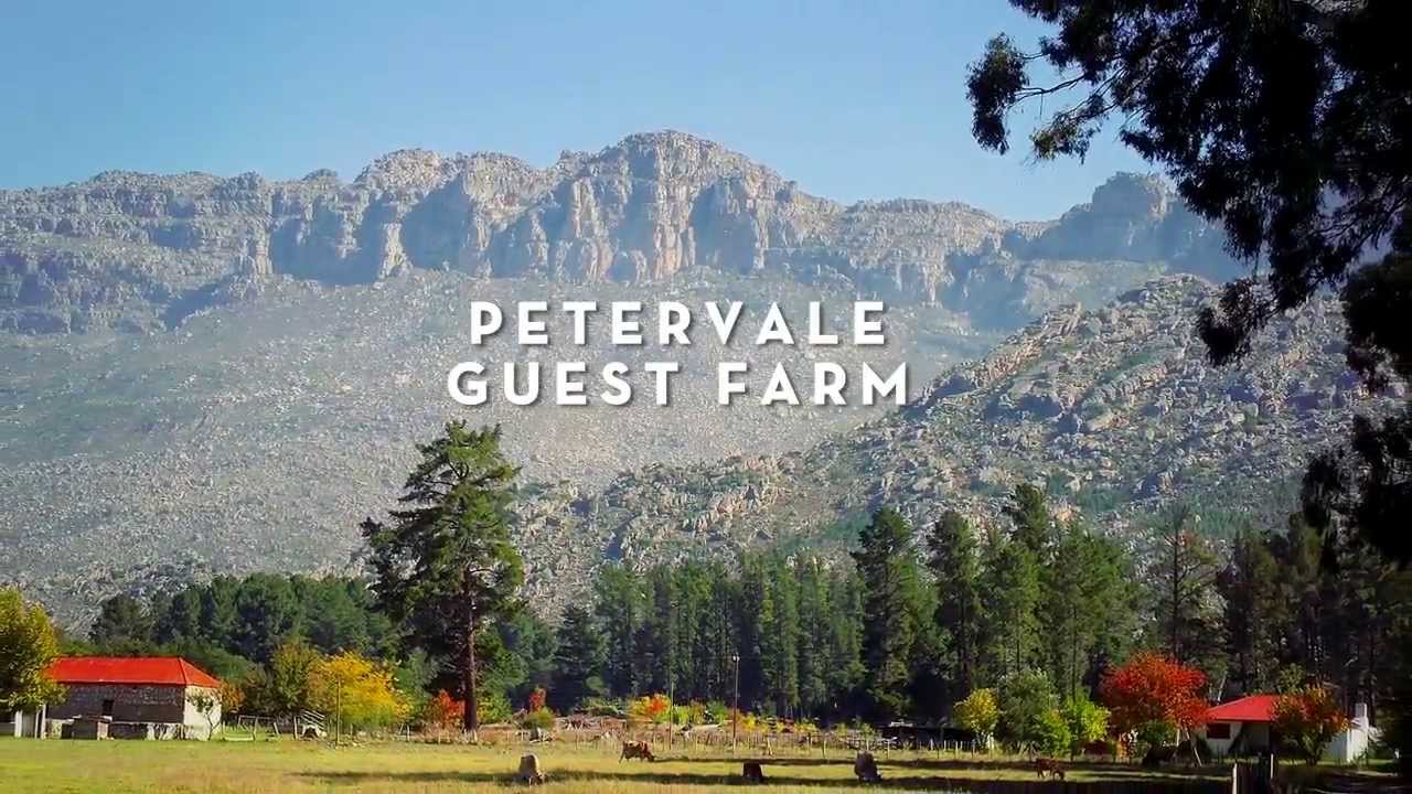 petervale