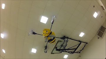 Syma X1 Quadcopter Inverted Flight Test with Crazy Bumblebee Tim