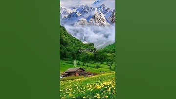 واتس اب قران كريم القارئ ياسر الدوسري من سورة (فاطر)