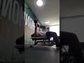 Flat bench dumbbell chest press