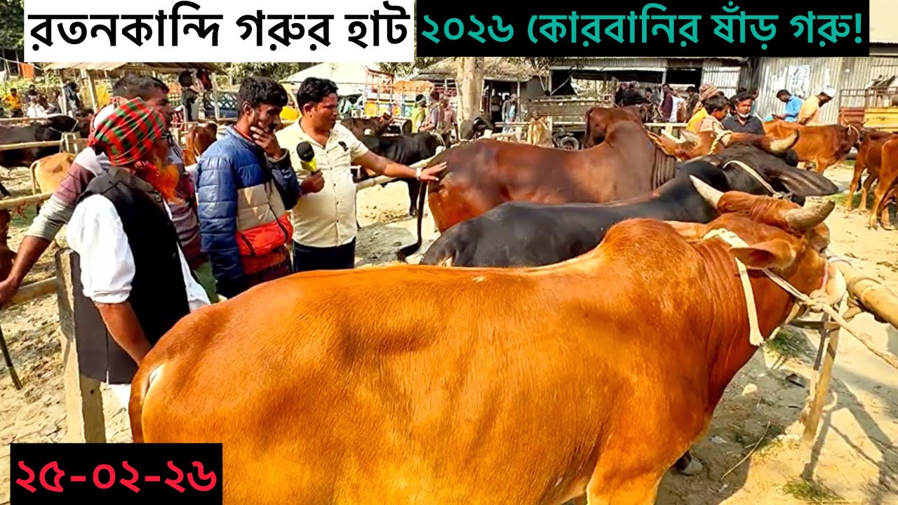সিরাজগঞ্জের রতনকান্দি গরুর হাটে ২০২৬
