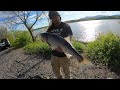 Hudson river striper fishing 15 fish caught