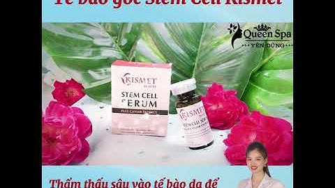 Tế bào gốc stem cell kismet