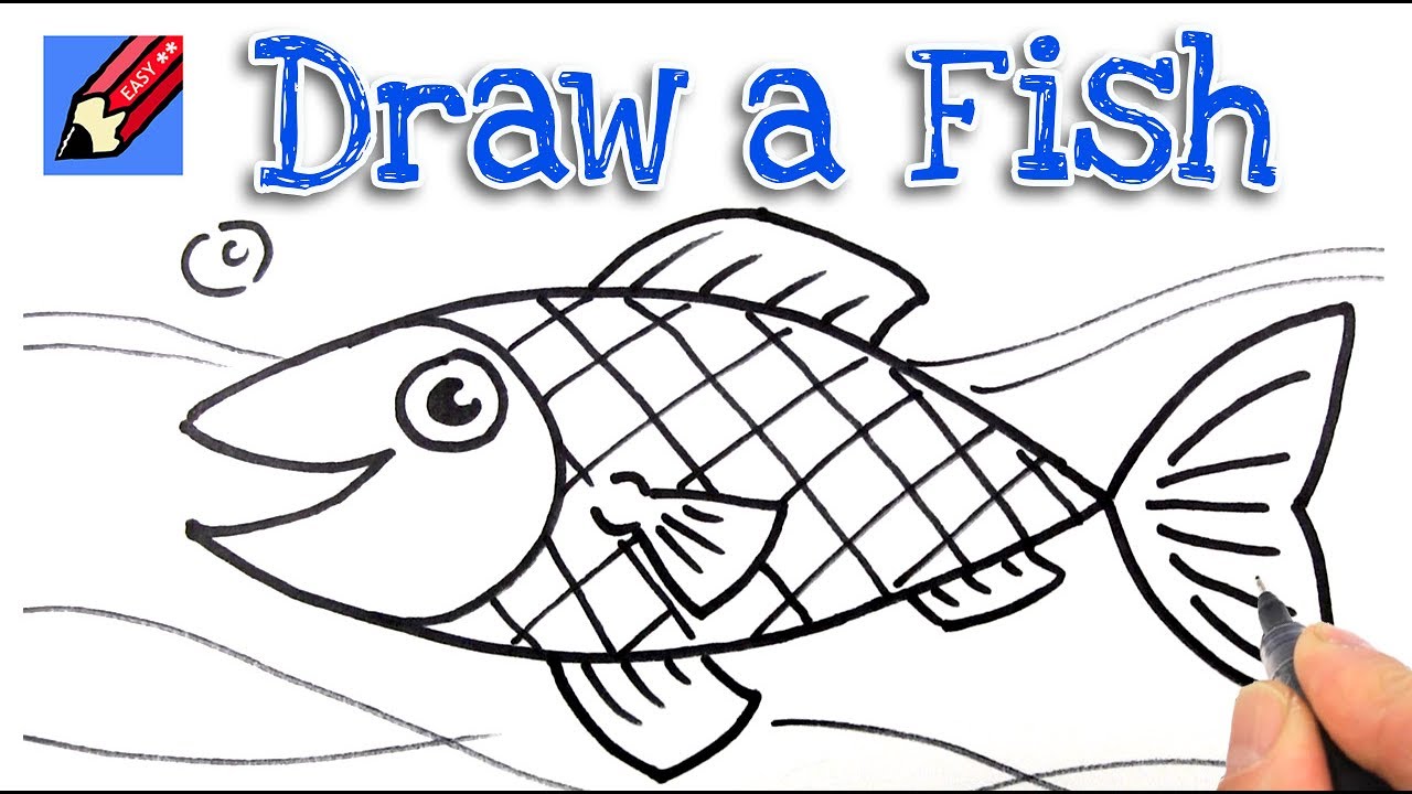 Fish Drawing - How To Draw A Fish Step By Step