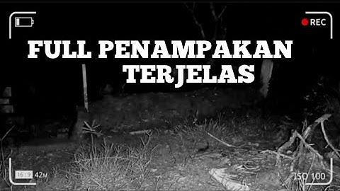 FULL PENAMPAKAN TERJELAS,DAN SUARA² DI LUAR NALAR,CCTV KUBURAN