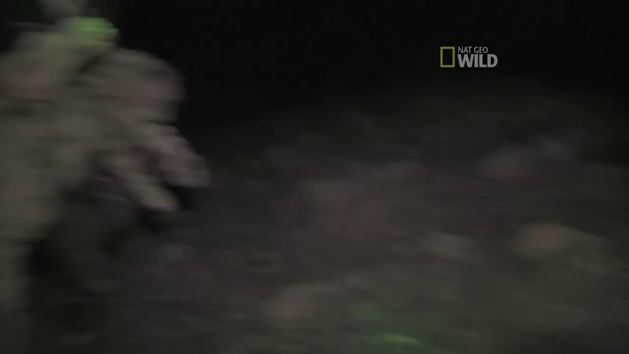 پلنگ برفی افغانستان Snow loepard of Afghanistan