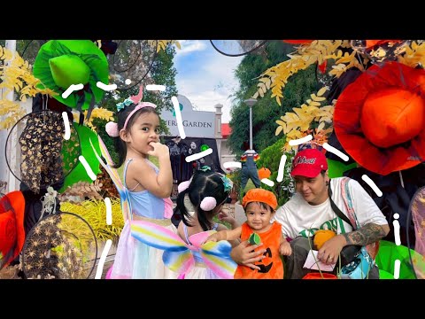 Trick or Treat season and We have Unexpected Visitor