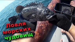 Рыбалка сетями на море | Поимка морских чудовищ | Fishing nets on the sea