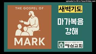 2025-7-16[막1:40-45]/예수님의 긍휼, 만지심, 그리고 회복의 은혜/장선기 목사
