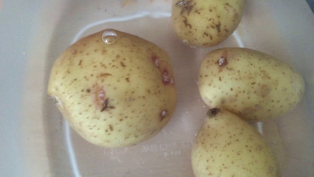 Small Potatoes Theme Song YouTube