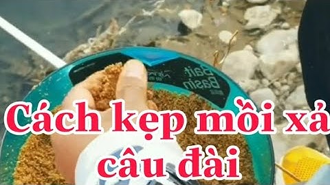 Hướng dẫn vừa câu vừa xả mồi câu đài giúp giữ ổ tốt