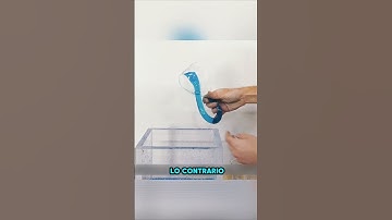 🌌 Un enigma de cuatro dimensiones♾️ El invento imposible de Félix Klein